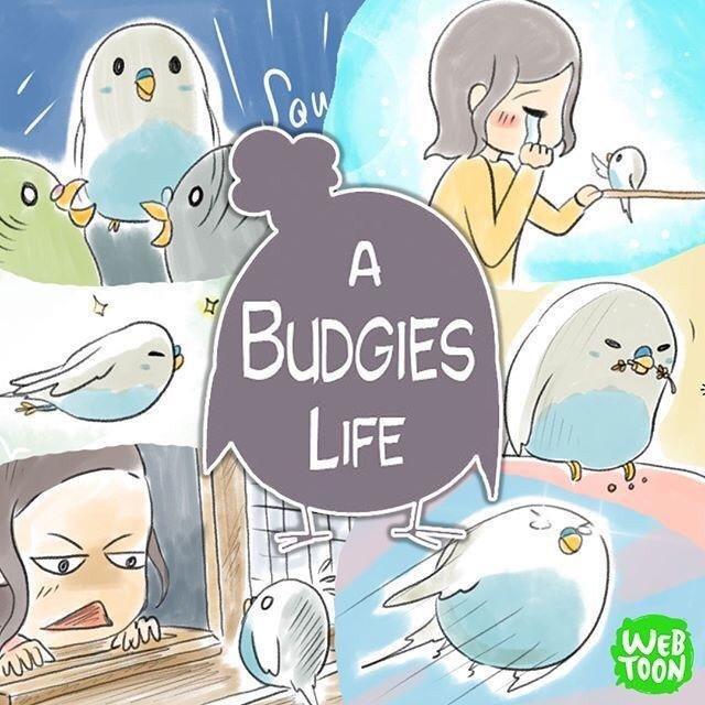 Recommended Slice Of Life Comics From WEBTOON - THE MAGIC RAIN