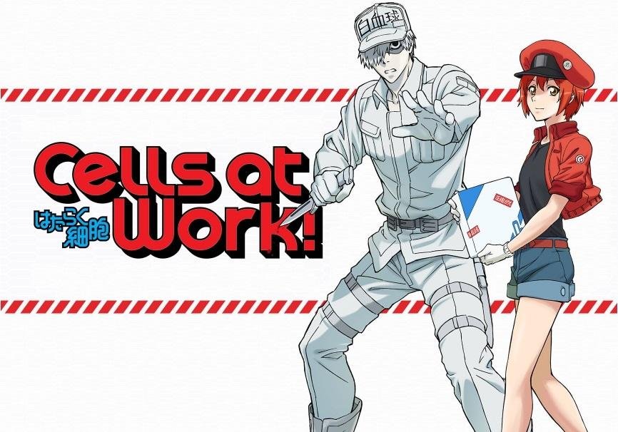 Anime Cells at Work HD Wallpaper