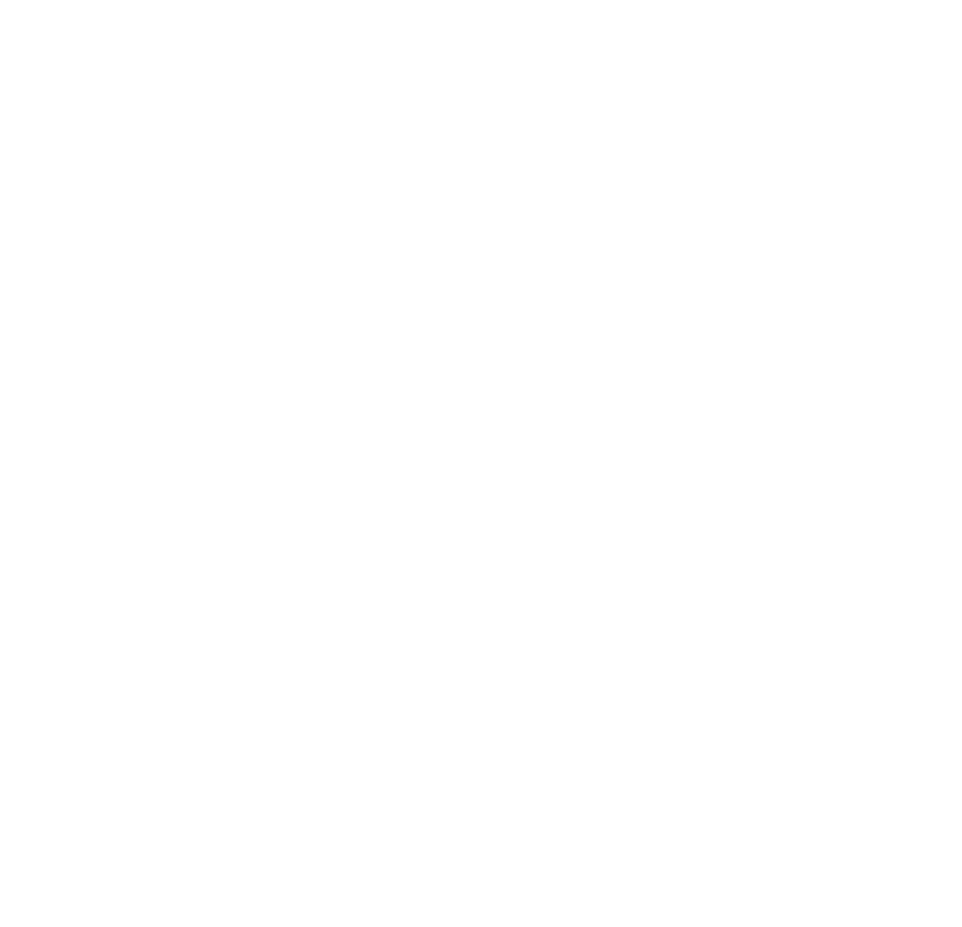 THE MAGIC RAIN